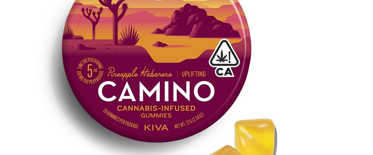 Kiva Confections cannabis products at Jungle Kingdom Flower dispensary in Bed-Stuy Brooklyn