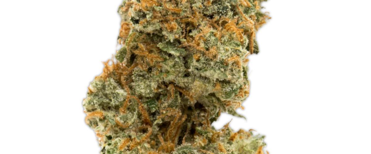 Platinum Reserve cannabis products at Jungle Kingdom Flower dispensary in Bed-Stuy Brooklyn