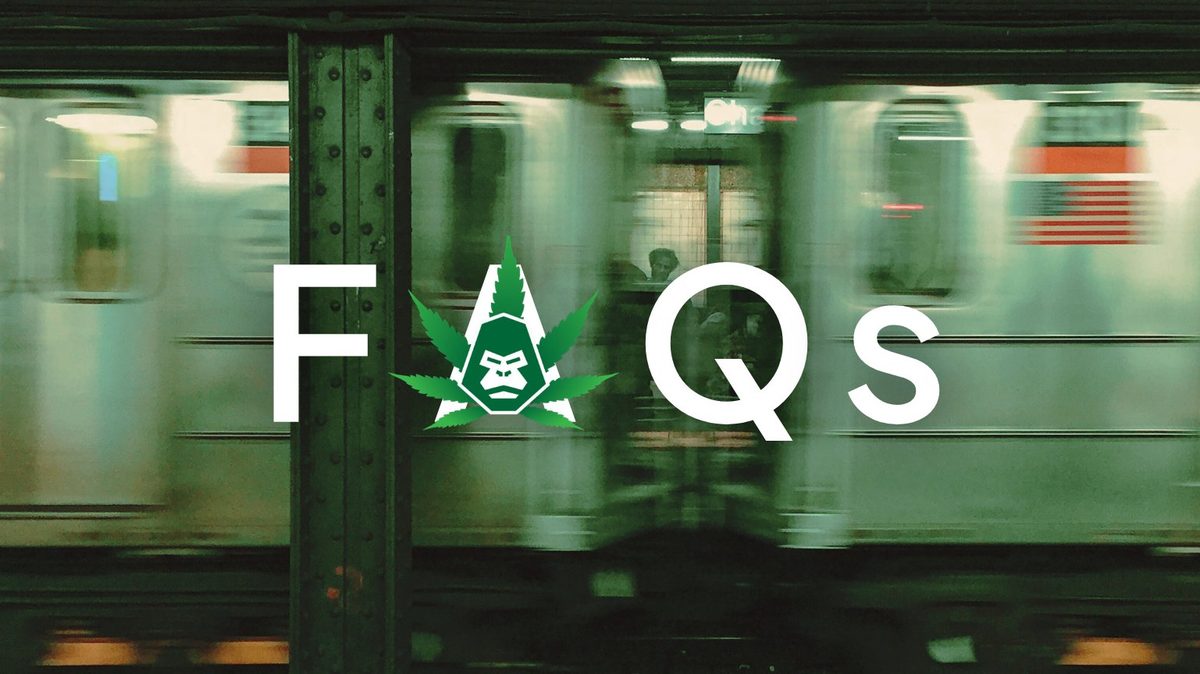 Jungle Kingdom Flower FAQs with NYC subway background